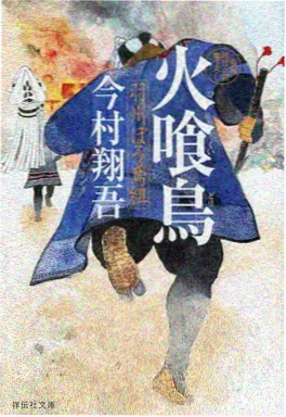 婆婆的算盘小说封面